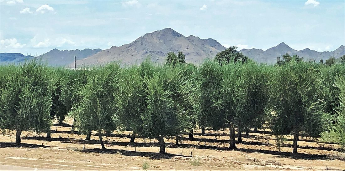 Queen Creek, AZ