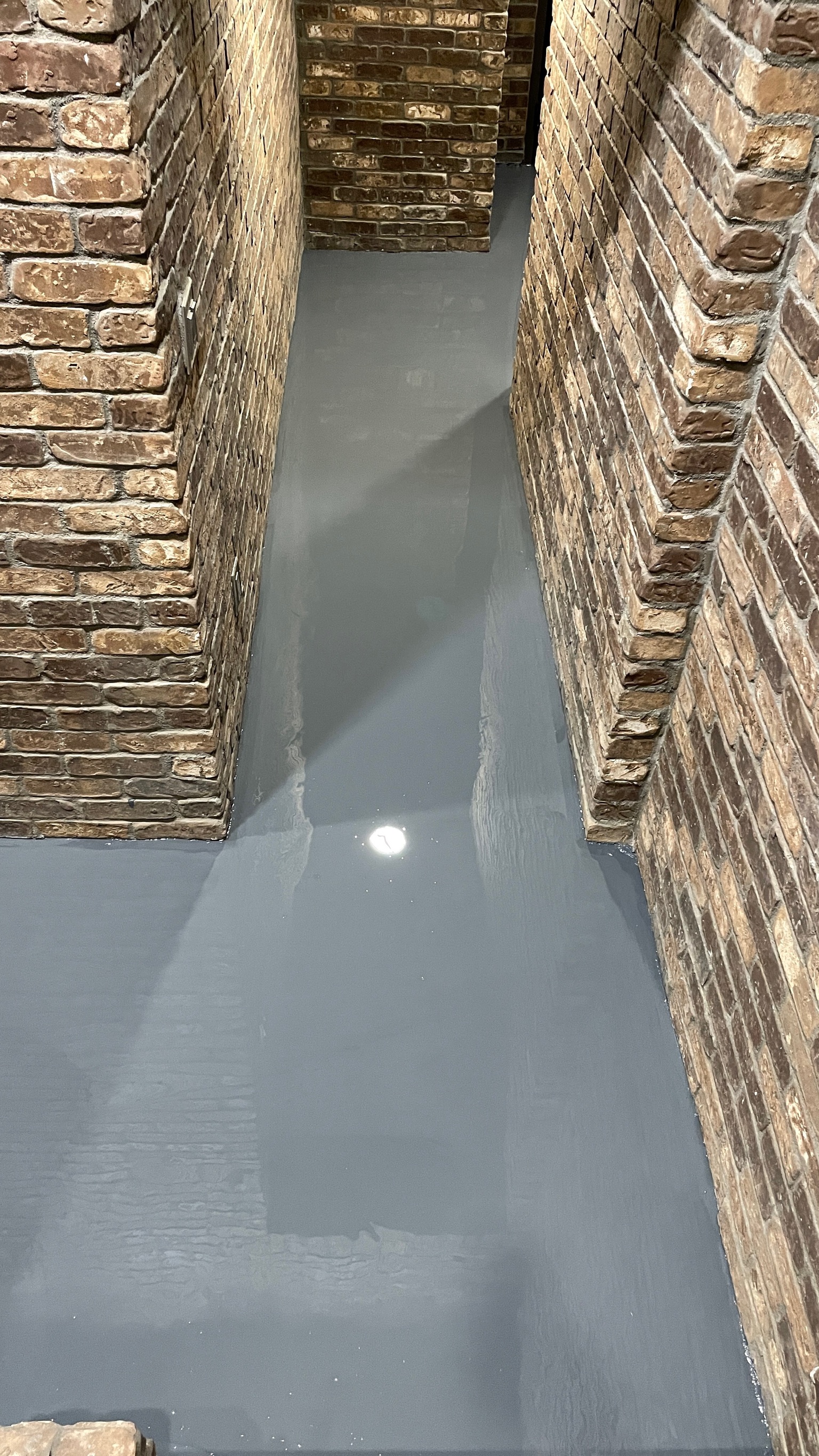 Check's Epoxy floor